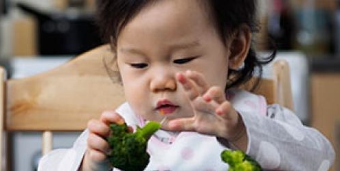 Baby girl eating brocoli