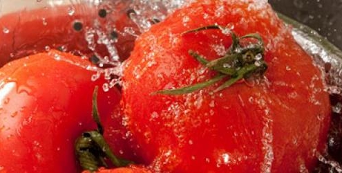 Washing tomatoes