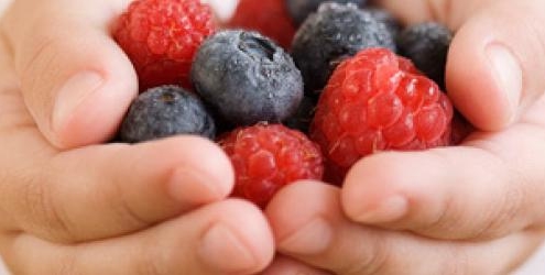 Berries in a hand