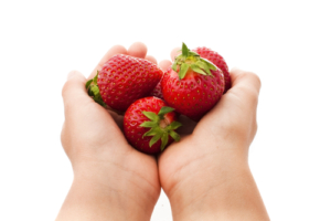 Child's,Hands,Holding,Strawberries,Isolated,On,White